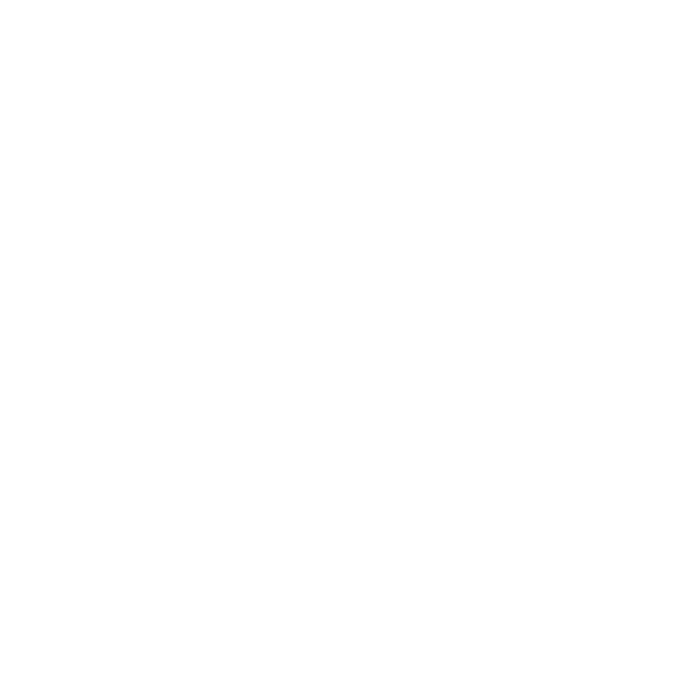AMP Page Version