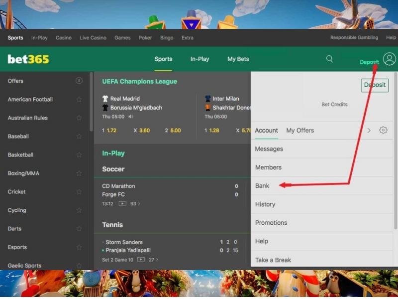 Make a Deposit at Bet365 Casino